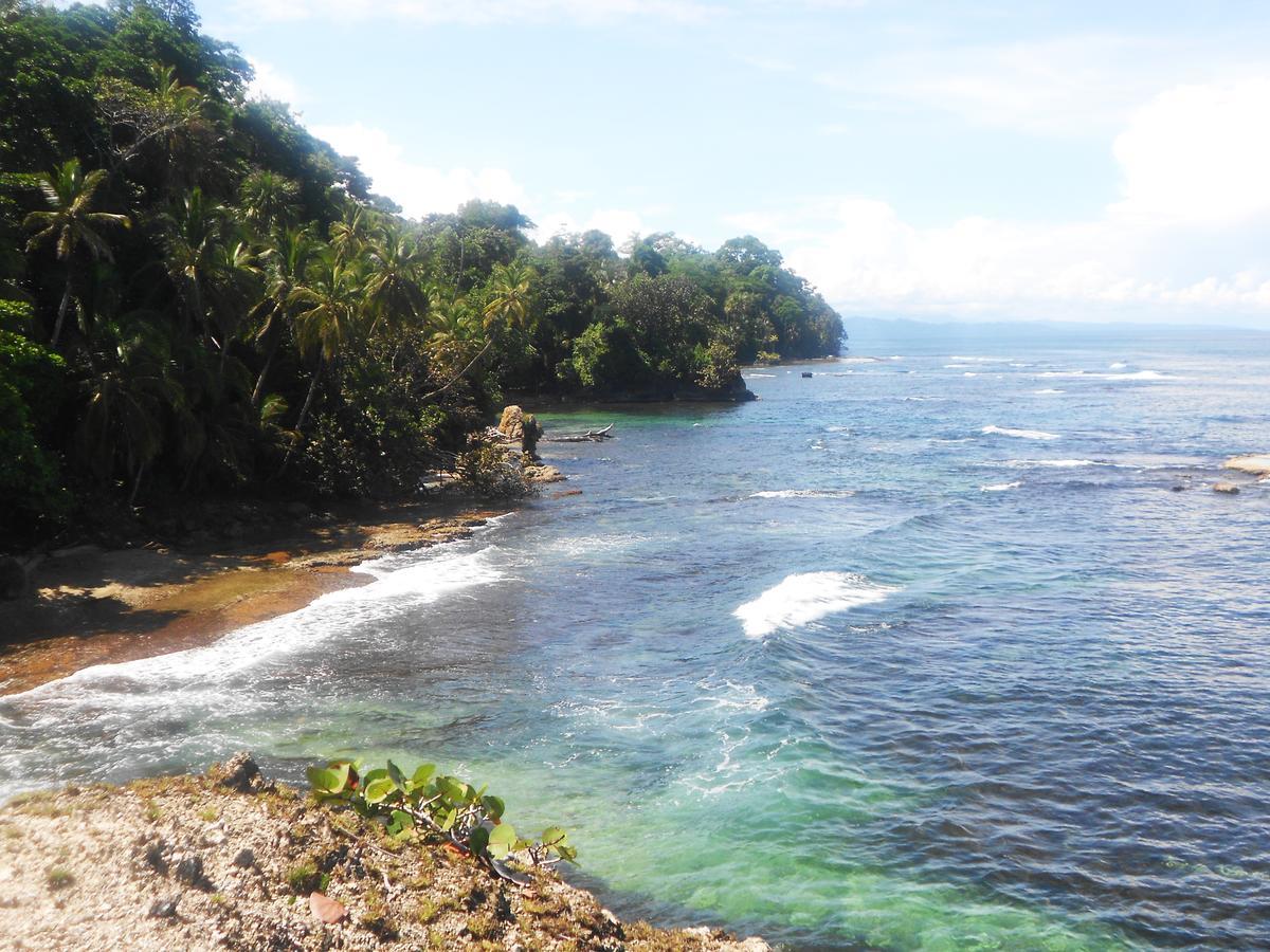 Rosa Lodge Cahuita Exteriör bild