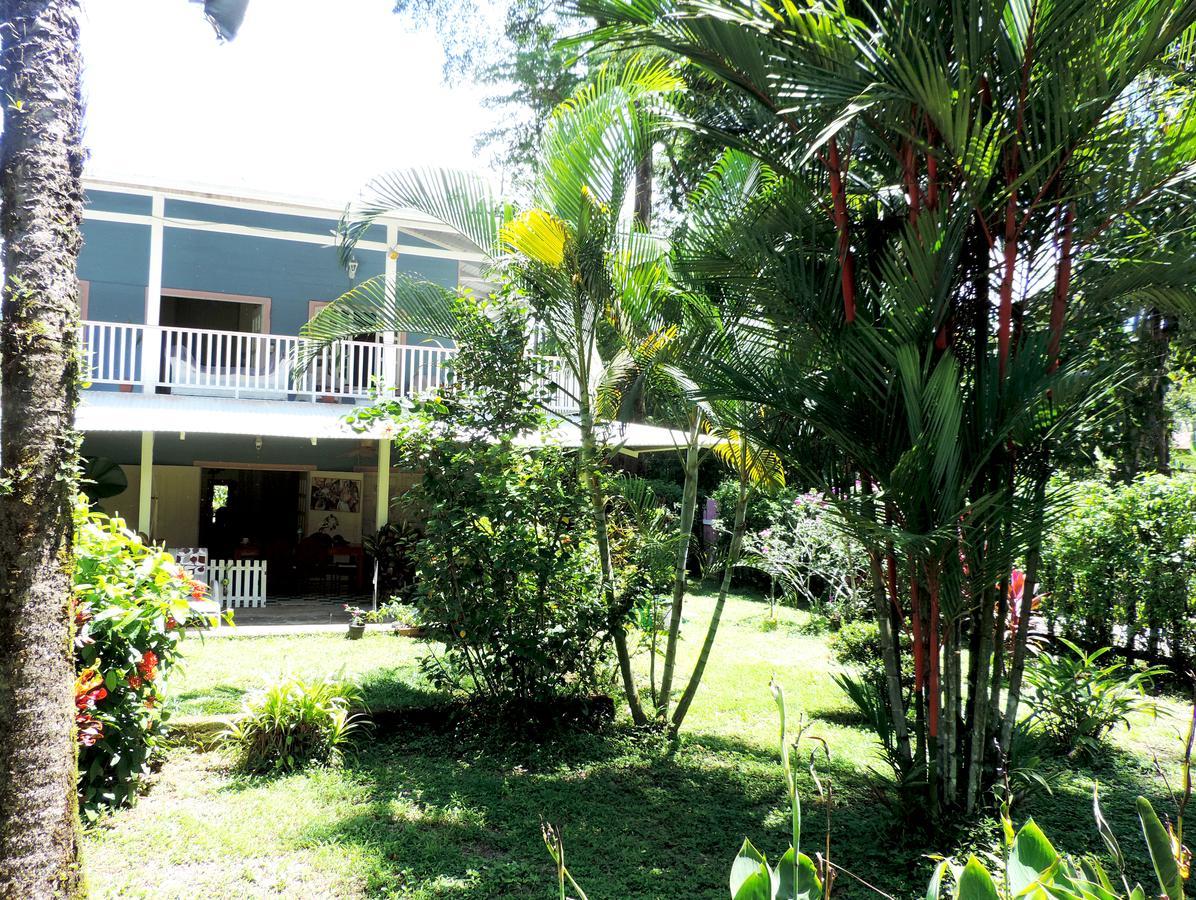 Rosa Lodge Cahuita Exteriör bild