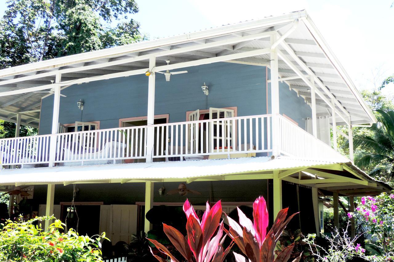 Rosa Lodge Cahuita Exteriör bild