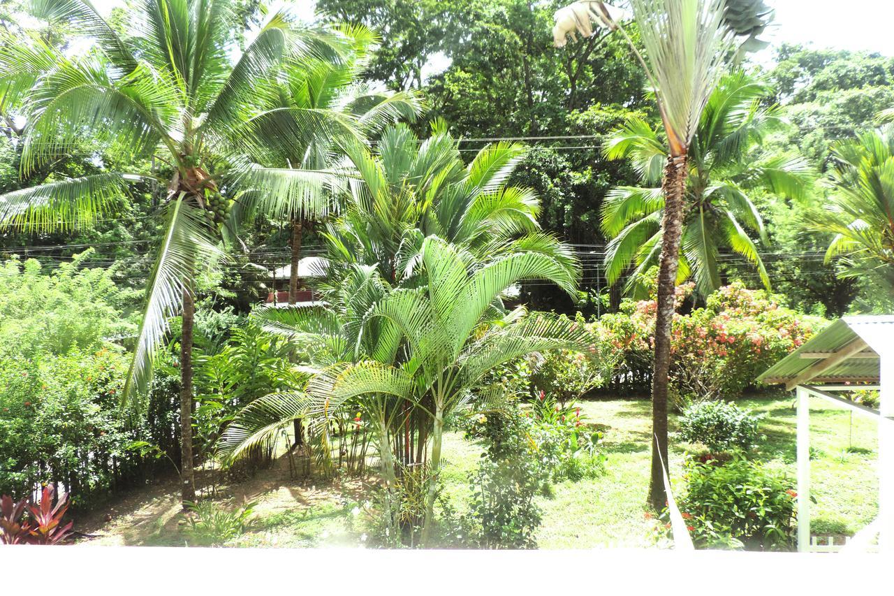Rosa Lodge Cahuita Exteriör bild