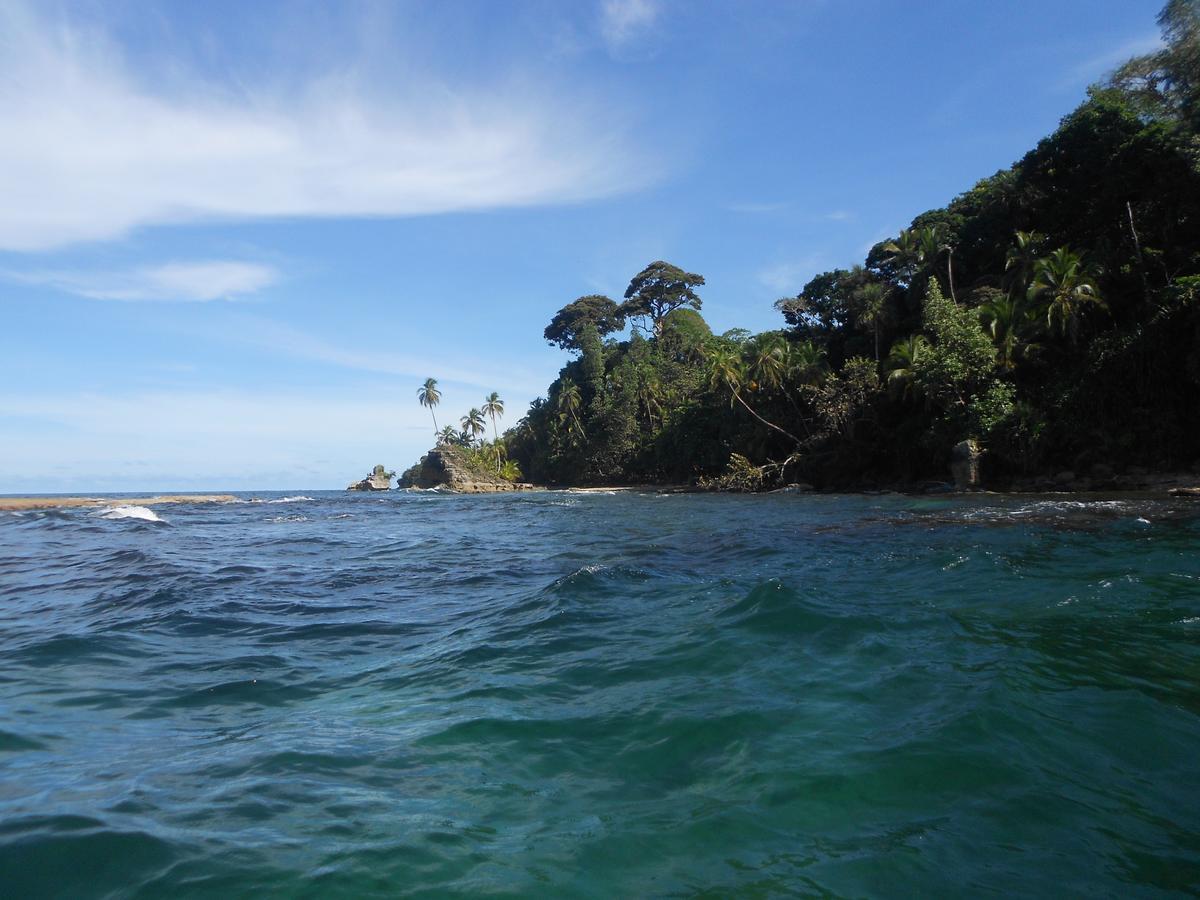 Rosa Lodge Cahuita Exteriör bild